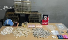 Drogas apreendidos pela polícia militar em Campina Grande 