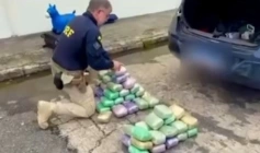 Grande apreensão de drogas