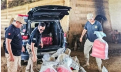 Incineração de mais de 130 quilos de drogas