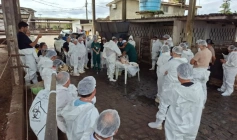 Capacitação com profissionais sobre sanidade animal