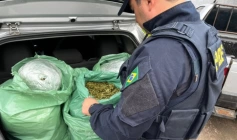 Apreensão de drogas na BR-230