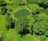 Semana do Meio Ambiente