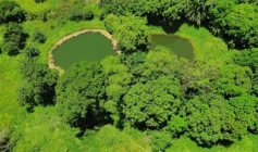 Semana do Meio Ambiente