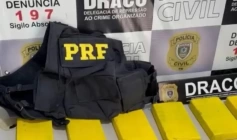 Drogas apreendidas em ação das Polícias, na Paraíba