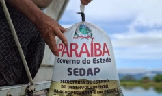 Distribuição de 120 mil alevinos para quatro municípios