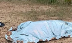 Crime de feminicídio na cidade de Bonito de Santa Fé
