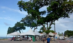 Edição especial da Feira Móvel