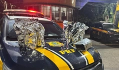 Apreensão de mais de 10 kg de maconha