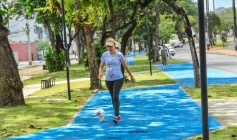 Afeto entre os pets e seus tutores
