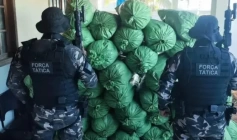 Apreensão de cerca de 430 kg de maconha