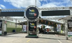 Amparo Cabra Fest