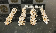 Drogas apreendidas em ação da Polícia Civil
