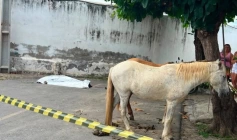 Morte de homem após ser arrastado por cavalo
