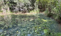 Rio Tibiri, em Santa Rita