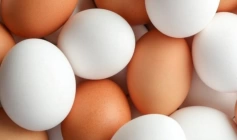 Ovos 