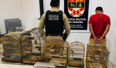 Aves silvestres e maconha apreendidos em ação da Polícia Militar, no município de Catolé do Rocha 