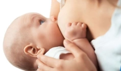 Na Paraíba, 5.139,50 litros de leite humano foram coletados entre janeiro e junho de 2026