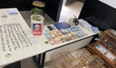 Material ilícito apreendido em ação da PM