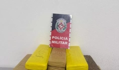 Apreensão de grande quantidade de maconha em Patos