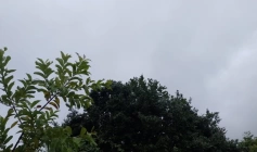 Alerta de vendaval para João Pessoa e mais 138 cidades