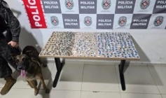 Drogas apreendidas em ação da PM