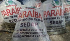 Programa de Piscicultura da Sedap-PB