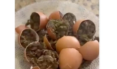 Drogas escondidas em alimentos