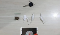 Drogas apreendidas em ação da PM