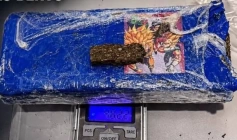 Maconha apreendida em ação da PM