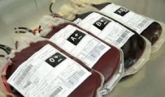 Doação de sangue