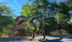Vale dos Dinossauros, em Sousa