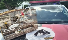 Ave silvestre e arma de fogo apreendidas pela Polícia Ambiental 