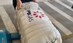 Companhia Paraibana de Gás (PBGás)