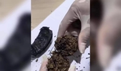 Droga apreendida com mulher
