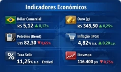 Indicadores enconomicos 