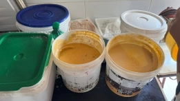 Deputado Federal, Mersinho Lucena