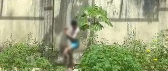 Homem invade jaula de leoa em zoológico da Paraíba e morre após ataque