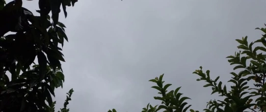 Inmet coloca 115 municípios da Paraíba sob alerta de chuvas intensas