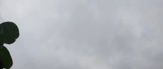 Alerta na Paraíba: Inmet prevê chuvas intensas e ventos fortes para 86 municípios