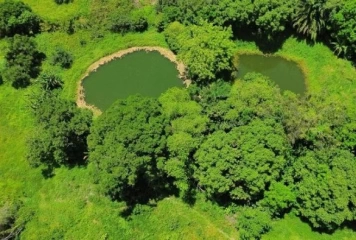 Semana do Meio Ambiente