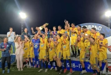Liga de Sousa