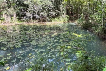 Rio Tibiri, em Santa Rita