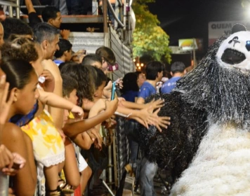 Desfiles de ala ursas e maracatus