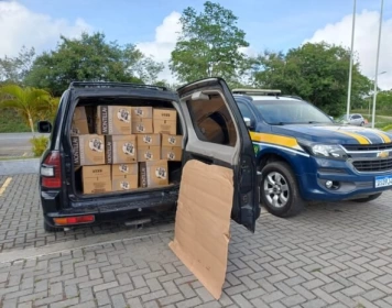 Transporte irregular de mercadoria