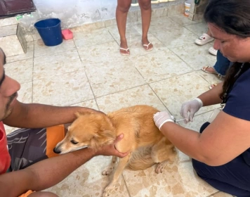 Mutirão de vacinação domiciliar