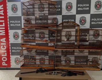 Aves silvestres apreendidas pela polícia militar em João Pessoa 