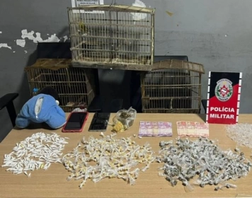 Drogas apreendidos pela polícia militar em Campina Grande 