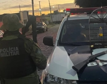 Aves e arma de fogo apreendidas em Bananeiras 