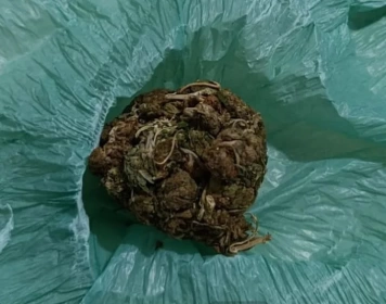 Maconha apreendida em ação da PM