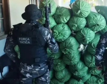 Apreensão de cerca de 430 kg de maconha